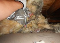 天井裏で見つかった断熱材の巣（ネズミ）